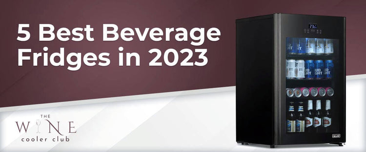 5 Best Beverage Fridges in 2023
