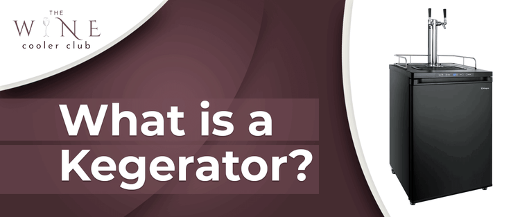 What Is a Kegerator