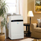 Whynter Air Conditioners Whynter ARC-12SD 12,000 BTU (6,936 BTU SACC) Dual Hose Cooling Portable Air Conditioner, Dehumidifier, and Fan with Activated Carbon Filter plus Storage bag, up to 400 sq ft in White